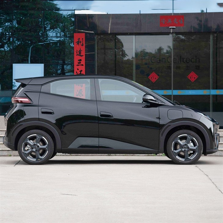 2024 BYD Seagull  Mini Car