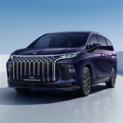 Dongfeng Porodicno Blago V9 Mpv